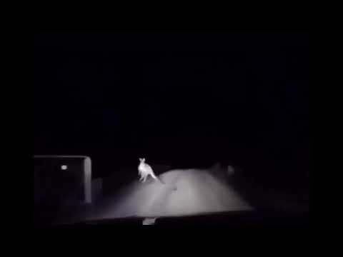 Bimbi ma è drill (senza voce) (Prod. BaidaFresco)