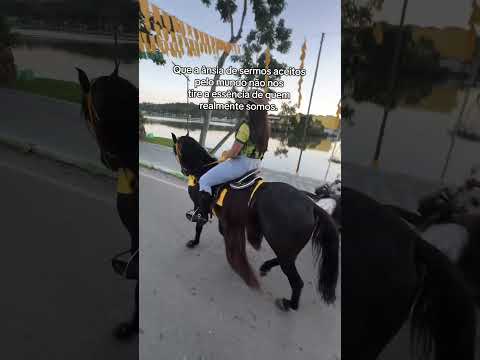 Cavalgada em Itajuipe/Ba 📍 #cavalo #colonelkkjϟ #cavalgada
