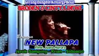 Download lagu Nwe pallapa cuma kamu Cintya dewi Brodien mp3