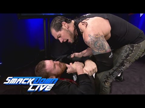 Two Matches Added To WWE Backlash