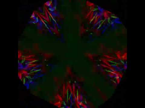 SOLOMUN - KREATUR DER NACHT vs TALE OF US - NOVA - LoNgKiCk Remix