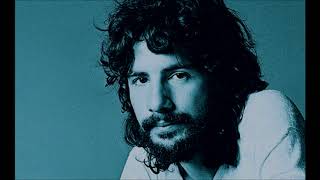 Matthew &amp; Son  CAT STEVENS (with lyrics)