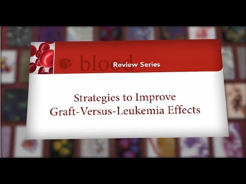 Blood Review Series: Strategies to Improve Graft-Versus-Leukemia Effects