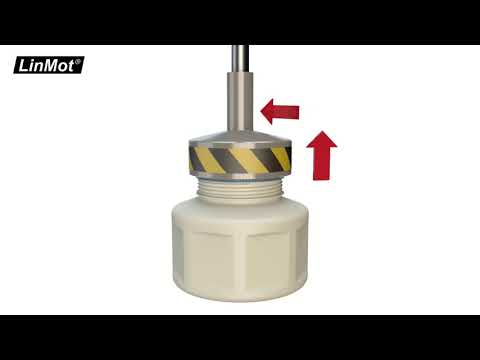 How our linear rotary motors are working