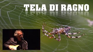 Gianmaria Testa - TELA DI RAGNO