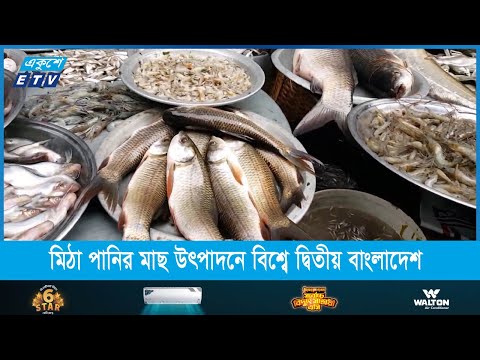 মিঠা পানির মাছ উৎপাদনে বাংলাদেশ এখন বিশ্বে দ্বিতীয়