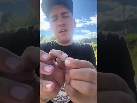 Comprando esmeraldas en chivor Boyaca , unas piedras muy hermosas se ven aca 🔥🔥 #usa🇺🇸 #mexico🇲🇽