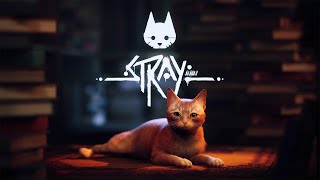 [閒聊] 《STRAY》貓貓模擬器 7/19發售