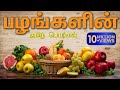 பழங்களின் பெயர்கள் | Learn fruit names in Tamil for kids.
