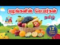 பழங்களின் பெயர்கள் Learn Fruit Names In Tamil For Kids