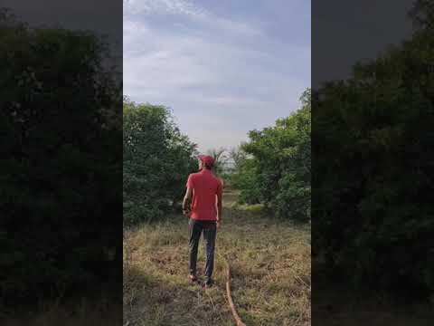 Feel the nature 🌿🍃💚#nature#greenislove