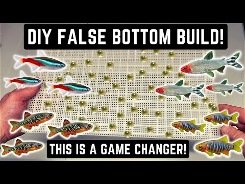 HOW TO MAKE A DIY FALSE BOTTOM FOR BREEDING NANO FISH LIKE NEON TETRAS AND CELESTIAL PEARL DANIOS!