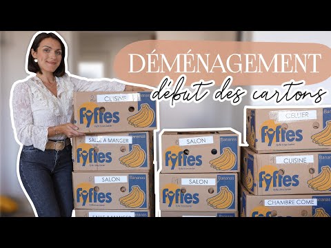 Premiers cartons - Le déménagement approche !