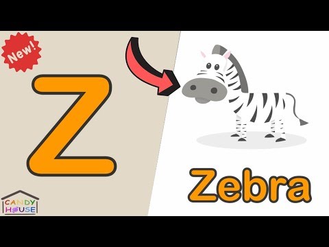 كلمات تبدا بحرف Z