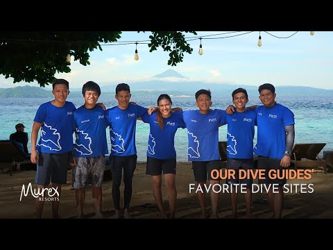 North Sulawesi Diving: Murex Guides Share Their Favorite Reefs