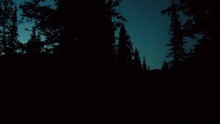 Bigfoot: a Nocturnal Primate