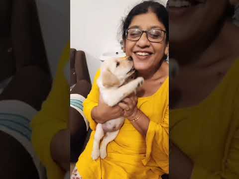 A year since the ruckus started 🥺🥴🤩🤩