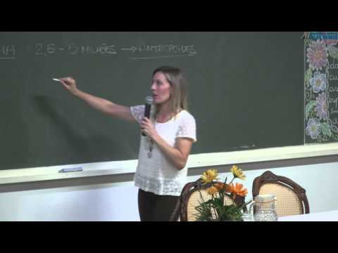 A Caminho da Luz - Vivian Marques (Palestra Espírita)