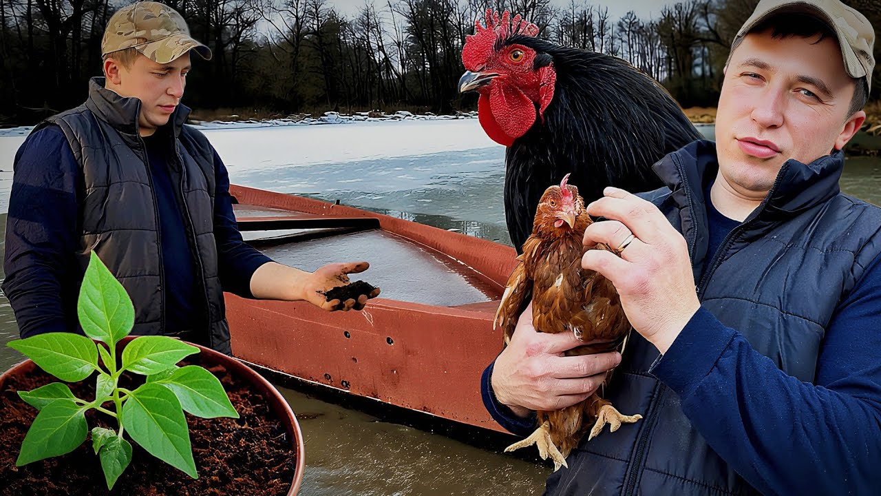 ЧТО СЛУЧИЛОСЬ С ЛОДКОЙ НА ХУТОРЕ И КАК МЫ НАЧИНАЕМ ТЕПЛИЧНЫЙ СЕЗОН В ДЕРЕВНЕ.