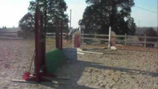 Haley and Trick Pony