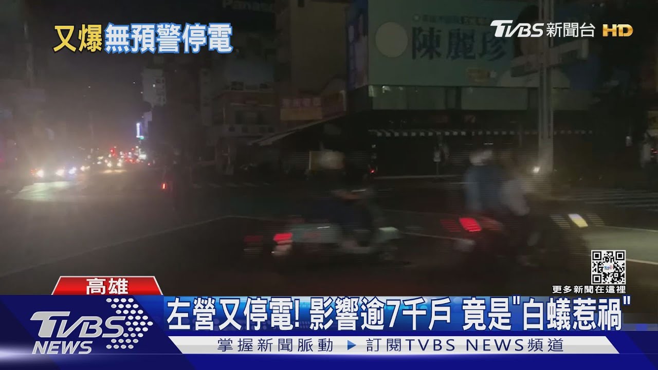 左營又停電!影響逾7千戶 竟是「白蟻惹禍」