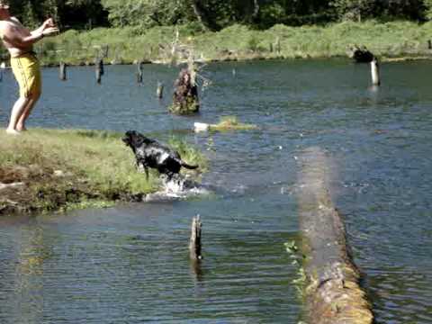 Skylar's Cat Like Reflexes