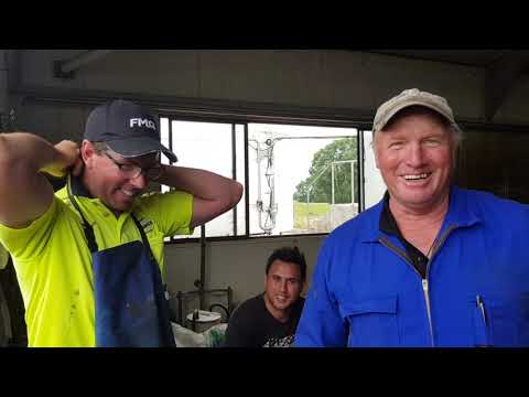 MilktechNZ expands in Ireland with Bovio Ltd. - Image 2