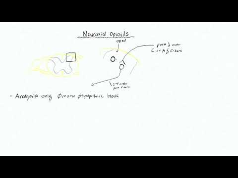 Neuraxial Anatomy and Physiology 4 - Neuraxial Opioids