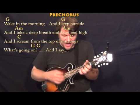 What's Up (4 NON BLONDES) Mandolin Cover Lesson in G with Chords/Lyrics