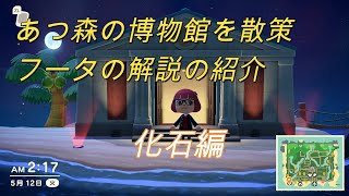 【あつ森】化石の解説をしながら博物館めぐり【フータ解説】