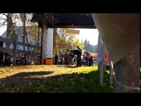Horník Horníček MČR 2015, start Brázdič a Terry