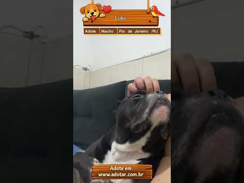 Vídeo de Luke