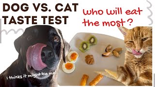 Dog and Cat Food Review