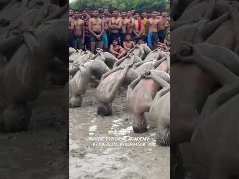 Indian Army Commando Position 🔥 Shorts Video Indore Physical Academy 9770678245
