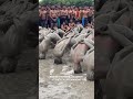 Indian Army Commando Position Shorts Video Indore Physical Academy 9770678245