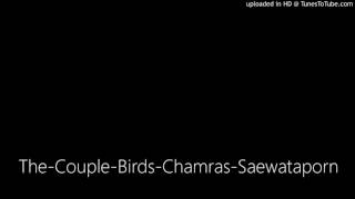 The-Couple-Birds-Chamras-Saewataporn