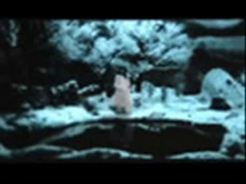 EVANESCENCE,FOB,MCRYPARAMORE