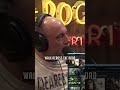 Joe Rogan on the 'Bondo Ape' Lion Killer Chimp