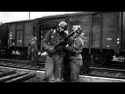 What Germans Really Thought About America's M1 Garand In WWII