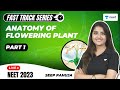 Anatomy Of Flowering Plant Part 1 Fast Track Revision NEET 2023 Seep Pahuja