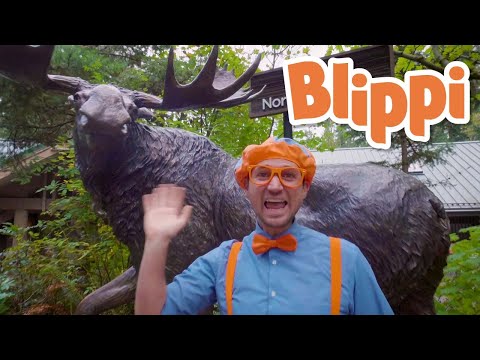 Blippi Visits the Wildlife Park - Learn About Animals | Moonbug Kids | Educational Videos For Kids