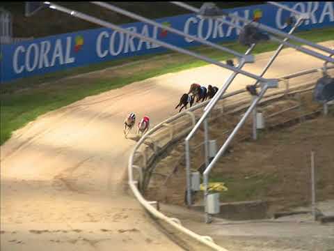 Sporting Dave – Coral Sussex Cup Final