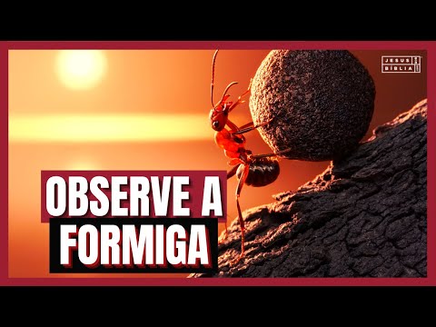 Proverbs 6 Study: LAZINESS AND THE WICKED (Bible Explained)