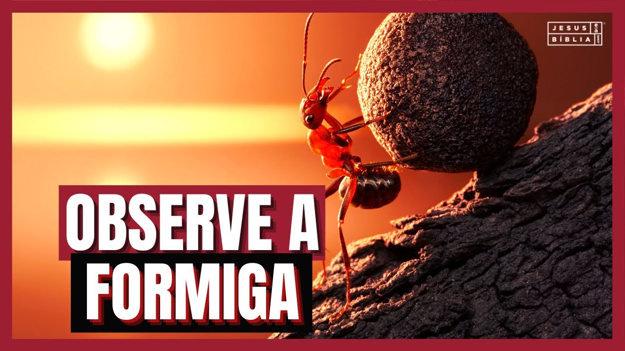 Provérbios 6 Estudo: A PREGUIÇA E O PERVERSO (Bíblia Explicada)