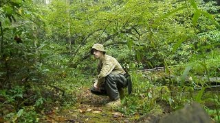 Auscam DPCU Camouflage Effectiveness.