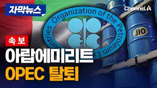 [속보] 아랍에미리트, OPEC 전격 탈퇴 결정 [자막뉴스] / 채널A