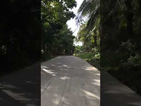 Close to nature 🌴🌳