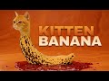 KITTEN BANANA Chicken Banana Parody