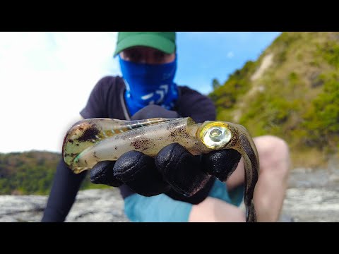 Fishing for SQUID and GROUPER from the rocks!