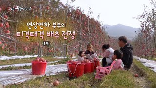 [171회_1부] 연상연하 부부의 티격태격 배추 전쟁